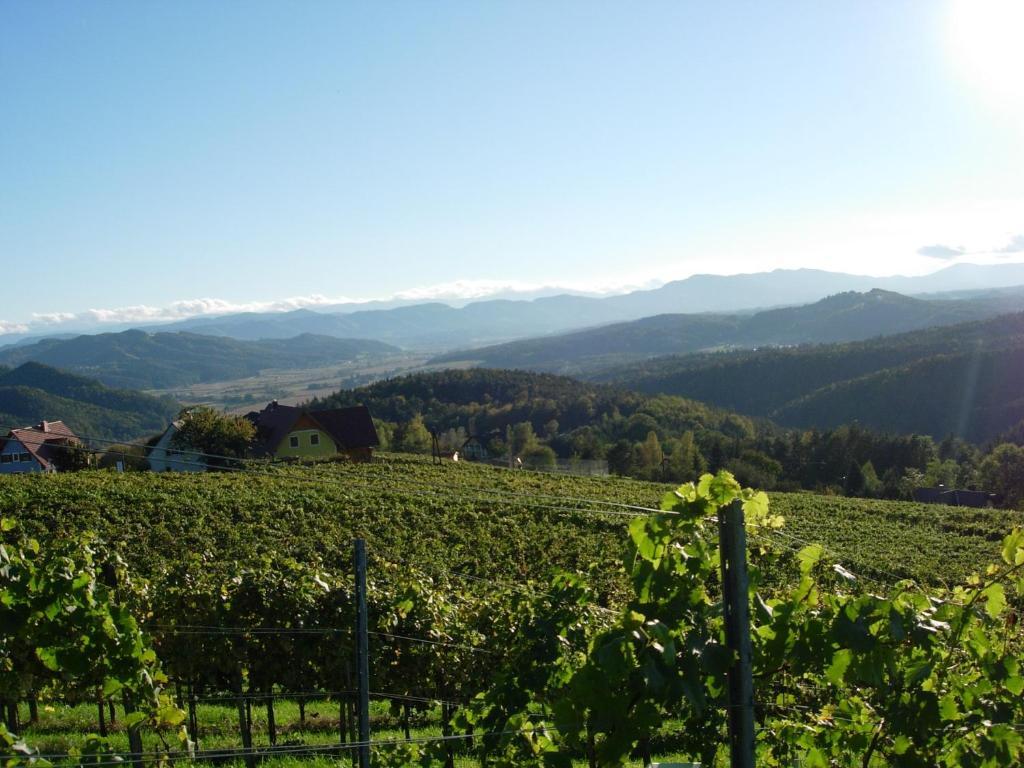 Weingut Schlafgut Genussgut Lorenz Guest House Kitzeck im Sausal Exterior foto